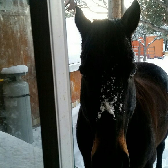 Hello - Picture 3 of 9